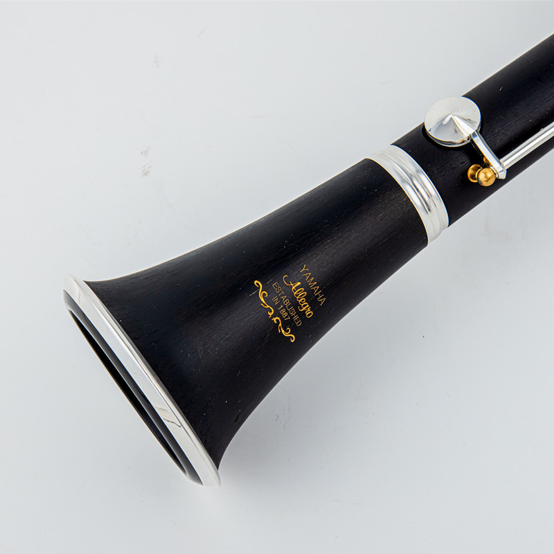 Musical Instrument Brands - Japan Gloednieuwe Professionele Hout/Bakeliet Buis Bb