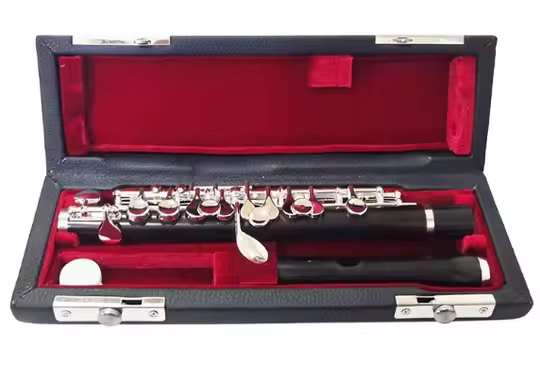 Ebbenhouten Piccolo met verzil - Musical Instrument Piccolo recensie en prijs