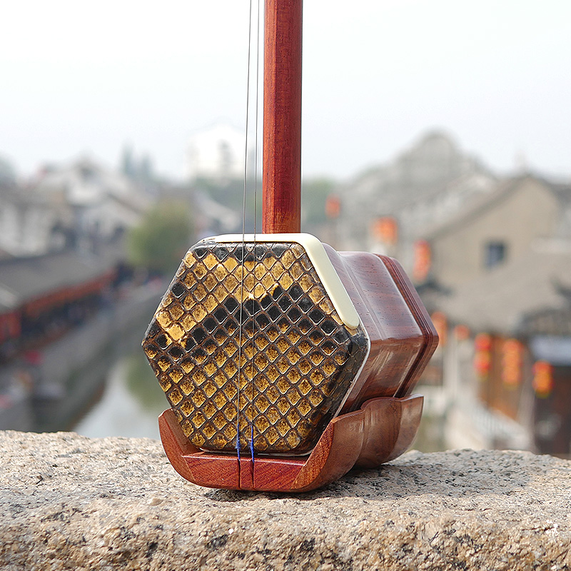 Professionele Dunhuang Merk 06 - Musical Instrument Brands recensie en prijs