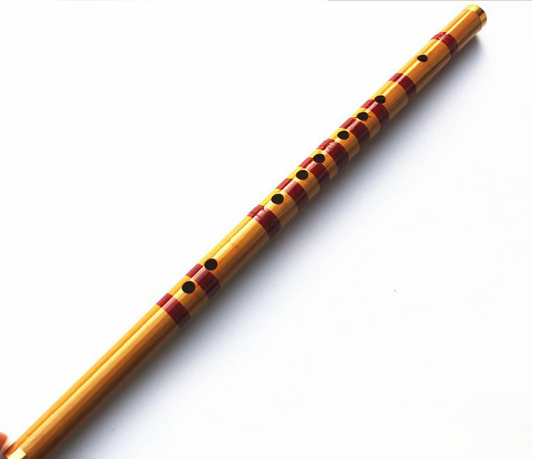 Kinderen leren goed ontworpen  - Musical Instrument Piccolo recensie en prijs