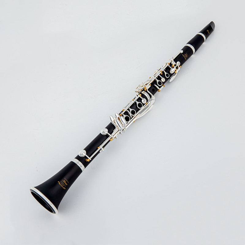 Japan Gloednieuwe Professionel - Musical Instrument Brands recensie en prijs