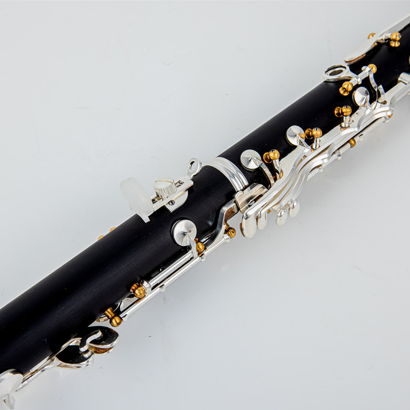 Japan Gloednieuwe Professionel - Musical Instrument Brands recensie en prijs