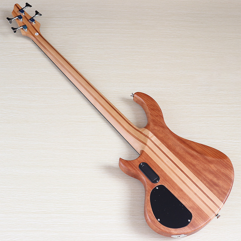 4-snarige actieve elektrische  - Bass Guitar Fretless recensie en prijs