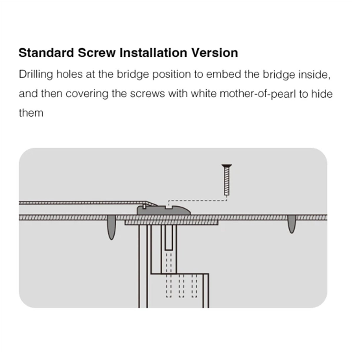 Nieuwe Aanwinst Gitaarbrug Doc - Musical Instrument Repairs recensie en prijs