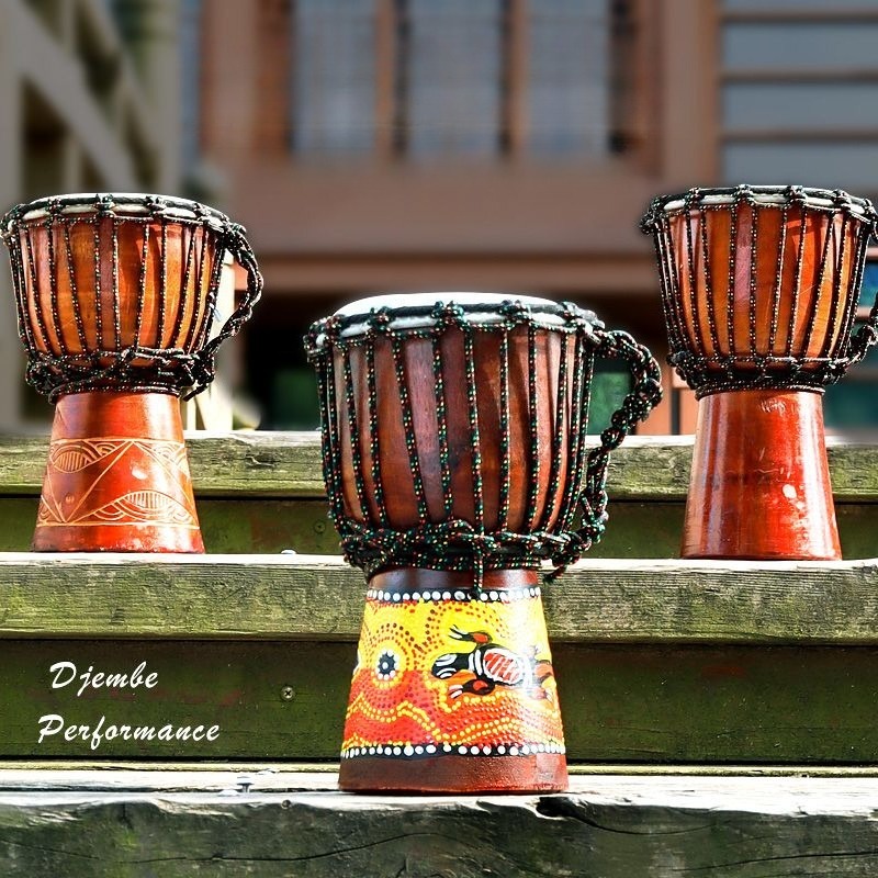 Kinderen Beginner Kleine Afrik - Musical Instrument Percussion recensie en prijs
