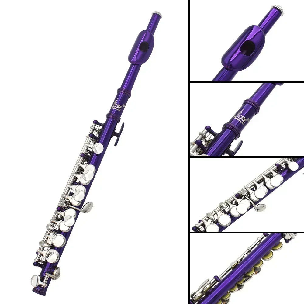 SLADE 16-holes piccolo C-sleut - Musical Instrument Piccolo recensie en prijs